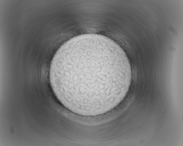 X0000112760030200910011225