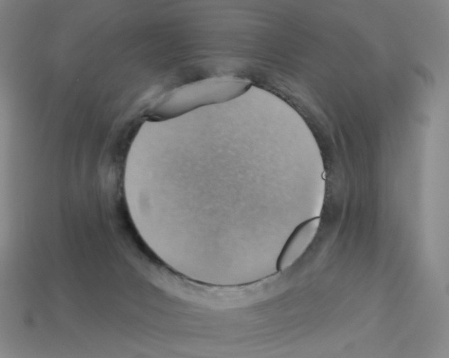 X0000112760031200910011225