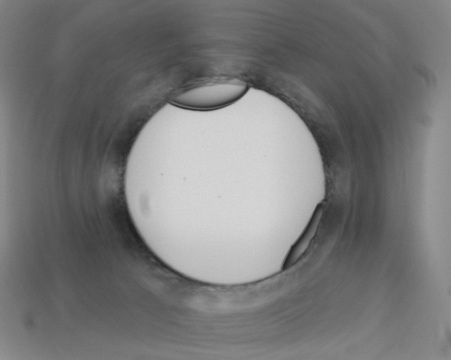 X0000112760033200910011225