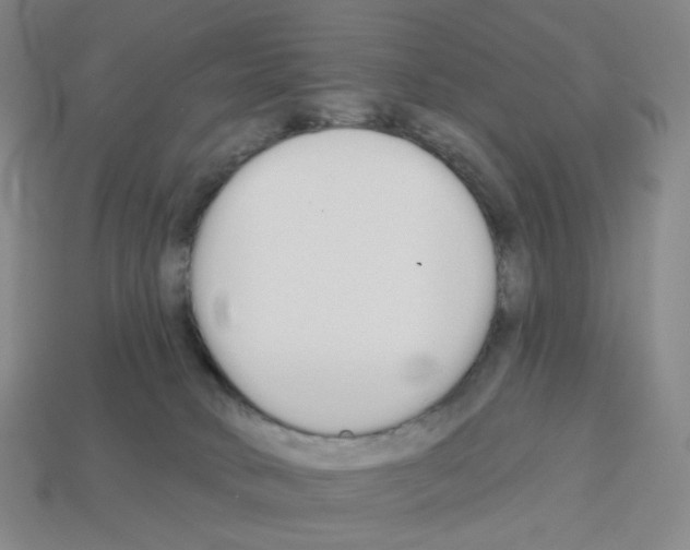 X0000112760034200910011225