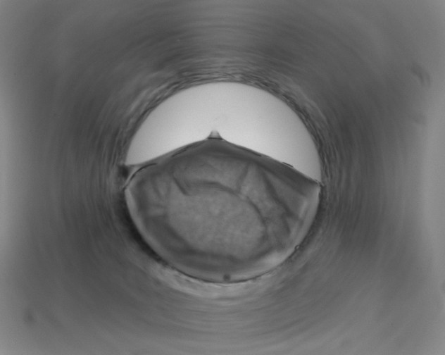 X0000112760035200910011225