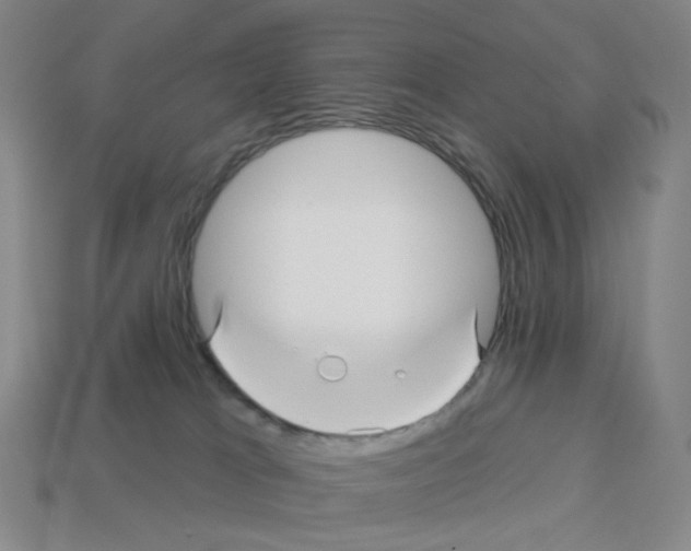 X0000112760037200910011225