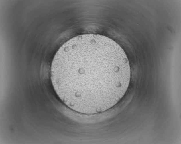X0000112760038200910011225