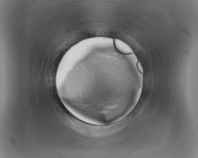 X0000112760039200910011225