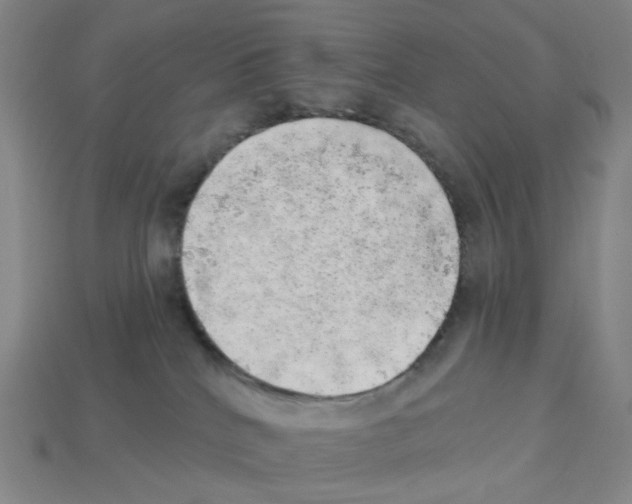 X0000112760040200910011225