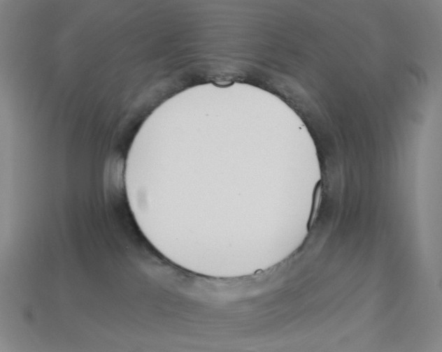 X0000112760041200910011225