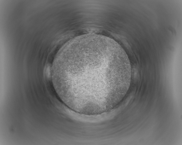 X0000112760042200910011225