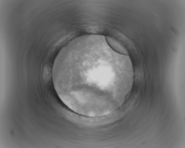 X0000112760043200910011225