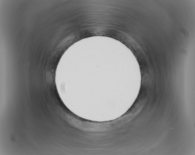 X0000112760044200910011225