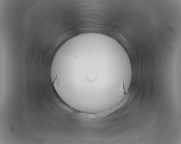 X0000112760045200910011225