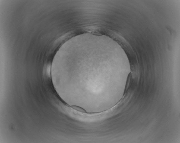 X0000112760047200910011225