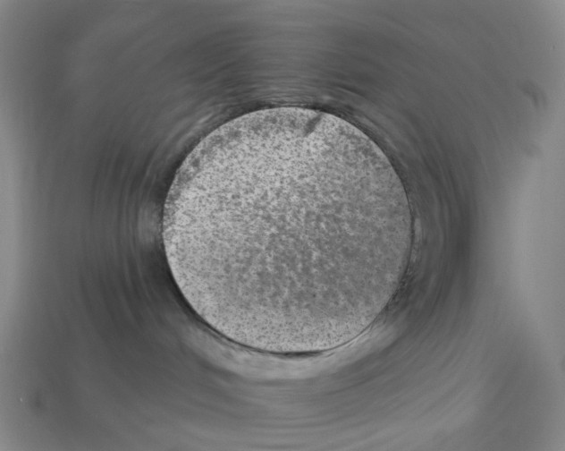 X0000112760048200910011225