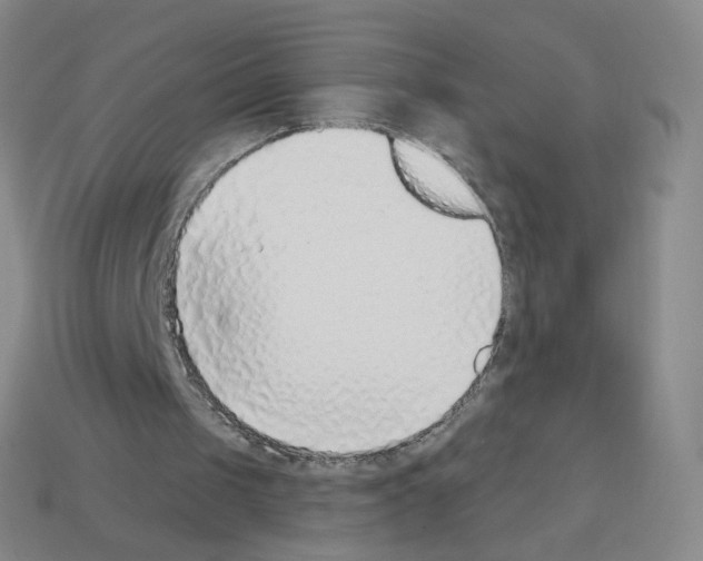 X0000112760049200910011224