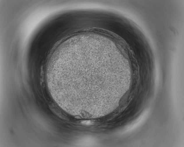 X0000112760050200910011224