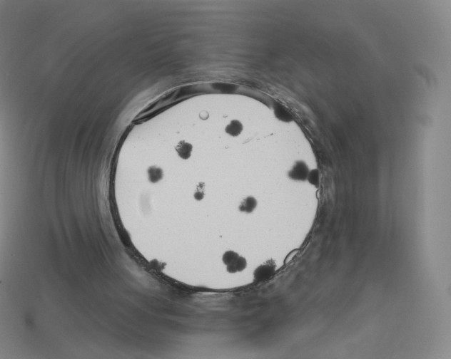 X0000112760051200910011224