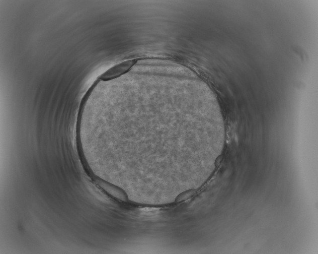 X0000112760052200910011224