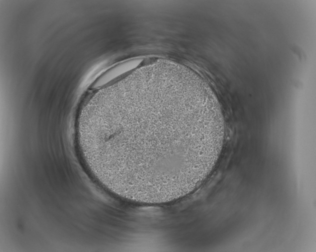 X0000112760053200910011224