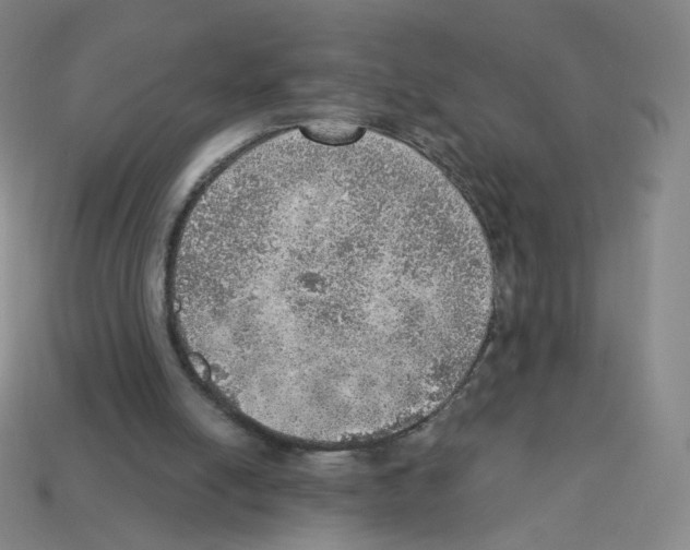 X0000112760054200910011224