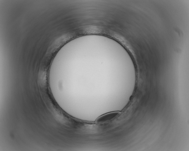 X0000112760057200910011224