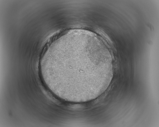X0000112760058200910011224