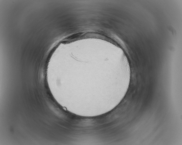 X0000112760059200910011224