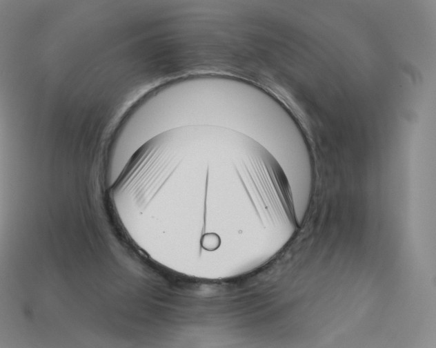 X0000112760060200910011224