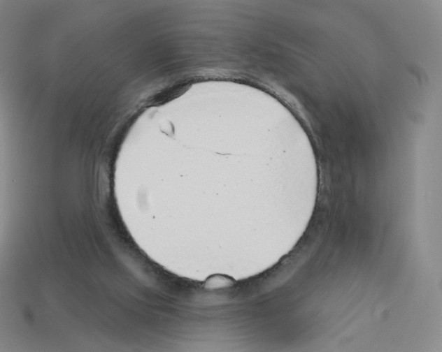 X0000112760061200910011224