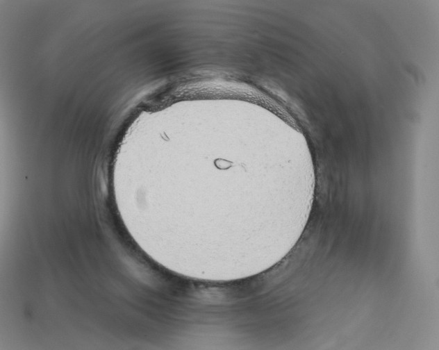 X0000112760062200910011224