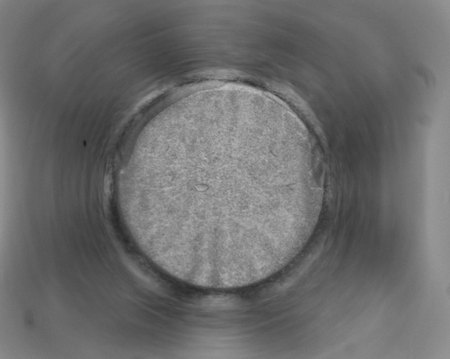 X0000112760063200910011224