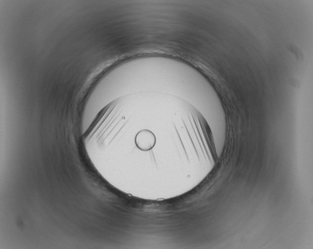 X0000112760064200910011224