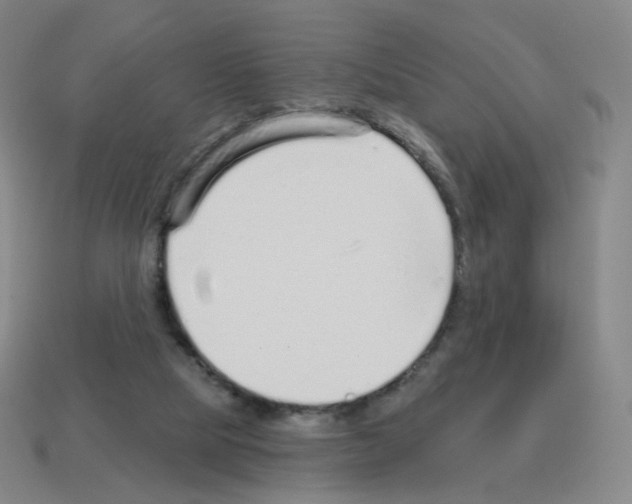 X0000112760065200910011224