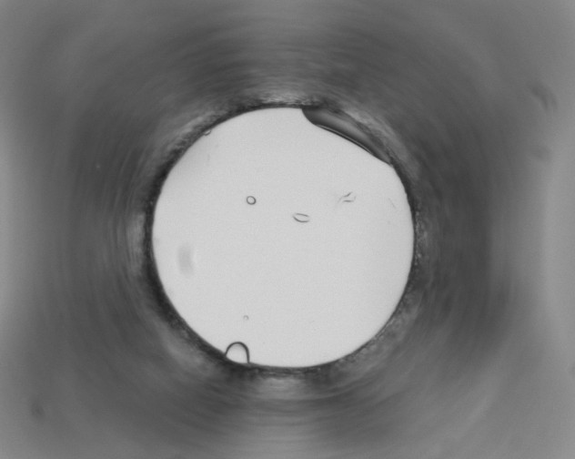 X0000112760066200910011224