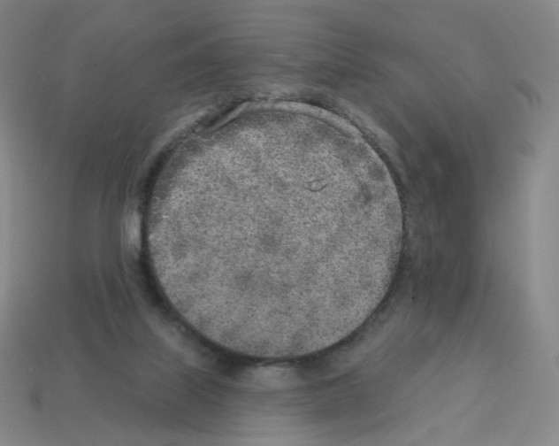 X0000112760067200910011224