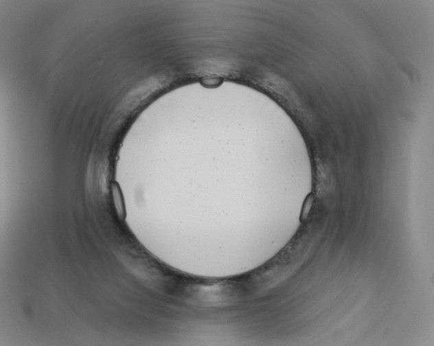 X0000112760068200910011224