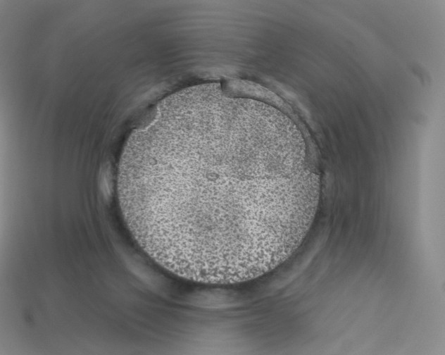 X0000112760069200910011224
