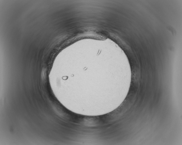 X0000112760070200910011224