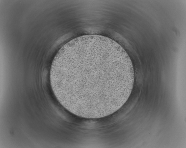 X0000112760071200910011224