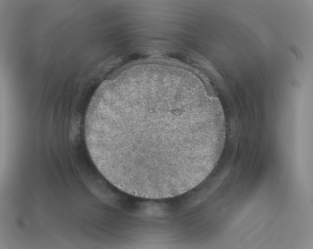 X0000112760073200910011224