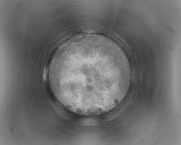 X0000112760075200910011224