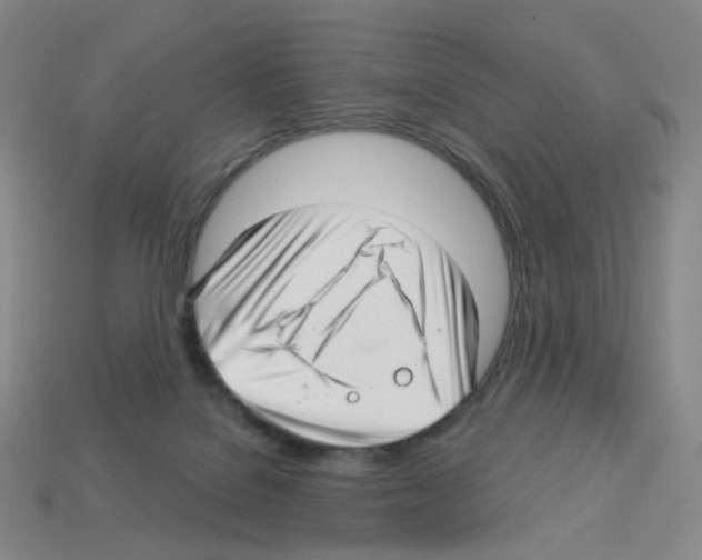 X0000112760076200910011224