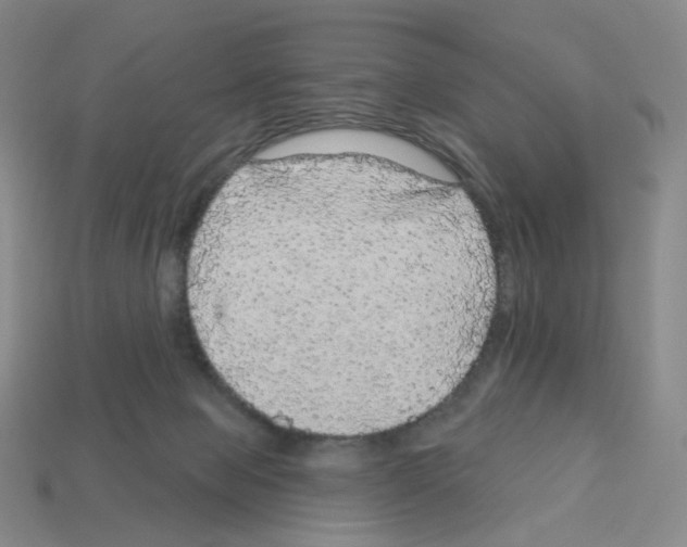 X0000112760077200910011224