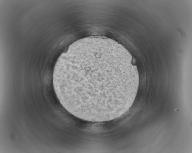 X0000112760078200910011224