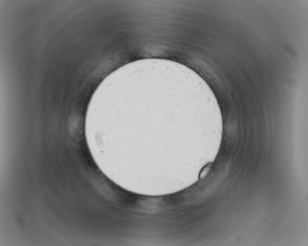X0000112760079200910011224