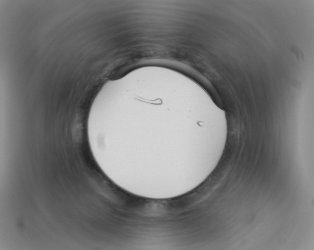X0000112760080200910011224