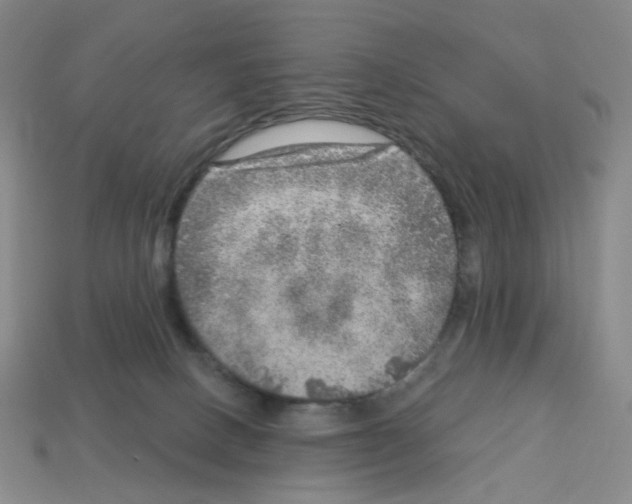 X0000112760082200910011224