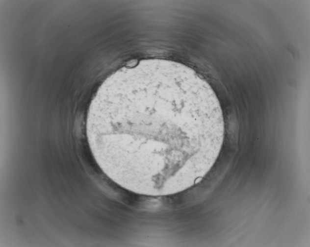 X0000112760083200910011224