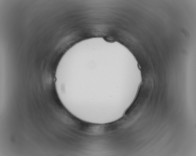 X0000112760084200910011224