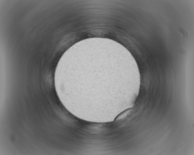 X0000112760086200910011224
