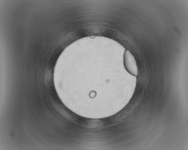 X0000112760087200910011224