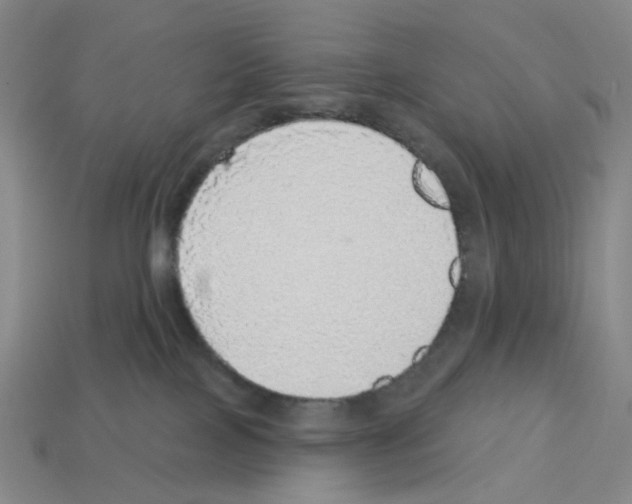 X0000112760089200910011225